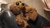The Nest – Plüschteddybär