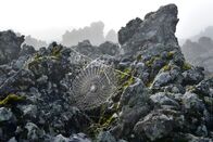 Mythos Amur – Im Lavafeld von Wudlianchi sammelt sich die Feuchtigkeit des Nebels in einem Spinnennetz.