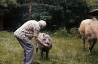 Unhappy – Raben, Wildschweine, Waschbären und Pferde: Der ehemalige Professor Uwe Meierjürgen lebt mit seinen zahlreichen Tierfreunden allein auf einem Hof im Wald.