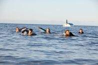 The Reef – Sa, 18.07., 23:55 Uhr