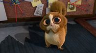 King Julien – Zu Floras Überraschung entpuppt sich Mort als der Hauptverdächtige ihrer Ermittlungen.