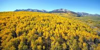 Unser grüner Planet – Wenn sich im Herbst die Laubbäume verfärben, wie diese Zitterpappeln in Colorado/USA, lässt der Winter nicht mehr lange auf sich warten.