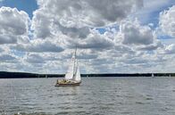 Bilderbuch – Segelboot auf dem Schwielowsee.