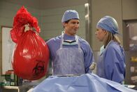 Brooklyn Nine-Nine – Jake Peralta (Andy Samberg, l.); Dr. Rossi (Mary Elizabeth Ellis, r.)