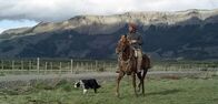 Expeditionen: Magische Anden – Ein Gaucho sucht nach Wildpferden in der Nähe von Calafate in Argentinien.
