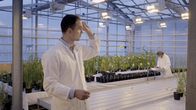 Alkohol - Der globale Rausch – Forschungslabor von Carlsberg, Dänemark.