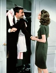 Der rosarote Panther – Der tolpatschige Inspektor Clouseau (Peter Sellers) ist sehr verliebt in seine Frau Simone (Capucine) und ahnt nicht, dass sie ihm Hörner aufsetzt.