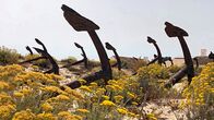 Eisenbahn-Romantik – Ankerfriedhof am Strand Praia do Barril: Er erinnert an die Zeit, als an der Algarve in großem Umfang Thunfisch gefangen wurde.