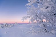 One Strange Rock – Kautokeino, NORWAY - The frozen expanse of Kautokeino in Norway, where beneath the thick frozen blanket of snow, something surprising grows and helps sustain life.