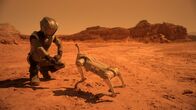DreaMars – Tom (Shon Amsalem) lernt seinen Hund Amzik kennen.