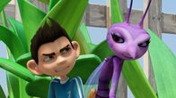 Insectibles – Weder Zak noch Lidia gefällt es, dass sie aneinander kleben.