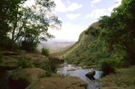 Die schönsten Landschaften der Welt – Australiens Regenwälder zählen zu den ältesten der Welt – hier sind unzählige Tier- und Pflanzenarten heimisch.