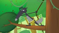 Wolf – Lässig hält Wolf-Tarzan nach Gefahren Ausschau.