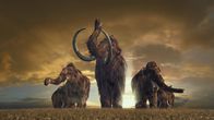 Terra X: Mammuts - Stars der Eiszeit – Wollhaarmammuts waren die größten lebenden Landsäugetiere ihrer Zeit.