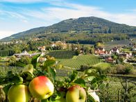 Eine Reise ins Paradies - Auf der Steirischen Apfelstraße – Die steirische Apfelstraße.