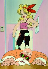 Dragonball – Mi, 04.02., 17:40 Uhr
