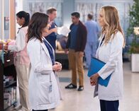 Grey's Anatomy – Vorne, l-r: Dr. Amelia Shepherd (Caterina Scorsone), Dr. Teddy Altman (Kim Raver).