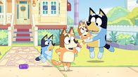Bluey – L-R: Bluey, Chilli, Bingo und Bandit