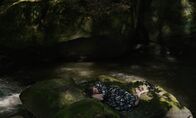 Ich war zuhause, aber ... – Nach dem Tod ihres Mannes findet Frau Kreisler (Maren Eggert), umgeben von Licht und Wasser, Trost und Ruhe in der Begegnung mit den Elementen der Natur.
