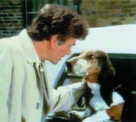 Columbo – Columbo (Peter Falk)