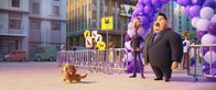 Paw Patrol - Der Kinofilm – Sa, 15.08., 08:04 Uhr