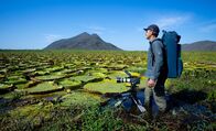 Unser grüner Planet – Kameramann Joao Paulo Krajewski filmt Riesenseerosen im Herzen des Pantanal-Feuchtgebietes in Brasilien.