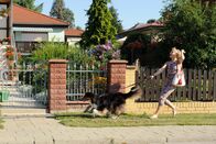 Alles Klara – Klara (Wolke Hegenbarth) führt Hund Gustav spazieren, doch der büxt ihr aus.