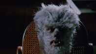 Der Werwolf von Washington – Jack Whittier (Dean Stockwell)