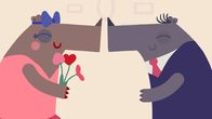 Animanimals – Frau Nashorn und Herr Nashorn freuen sich.