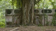 Lost Places – In der verlassenen kolumbianischen Stadt Armero befinden sich die Überreste zahlreicher Kreuze, Grabsteine und Schreine. Hier scheinen viele Menschen auf rätselhafte Weise verstorben zu sein.