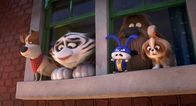 Pets 2 – Pets 2 (2019)