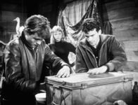 Die Halbstarken – Die Halbstarken (1956)