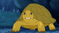 Törtel – Schildkröte Törtel und die Tiere in Müggeldorf fürchten sich: Spukt es dort?