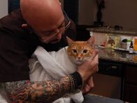 Der Katzenflüsterer – Jackon hält Galaxy