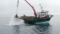 Maritimes Erbe – In den Gewässern um die Insel Ouessant werden Algen geerntet.