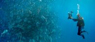 Wer wir waren – Moderators Roger Willemsen. - Die Ozeanologin Dr. Sylvia Earle erforscht die Unterwasserwelt.