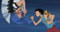 One Piece – Fr, 20.02., 17:15 Uhr