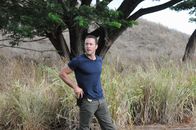 Hawaii Five-0 – Ein neuer Fall wartet auf Steve (Alex O'Loughlin) ...