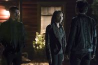 Vampire Diaries – Vampire Diaries (2016)