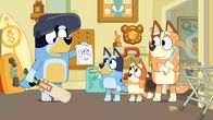 Bluey – L-R: Bandit, Bluey, Bingo, Chilli.