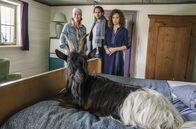Zimmer mit Stall - Tierisch gute Ferien – Die Ziege macht das Gästezimmer wieder zum Stall: Wirtin Sophie (Aglaia Szyszkowitz, li.), ihre Freundin Verena (Regula Grauwiller) und Jan (Alexander Beyer) staunen über den Gast im Bett.