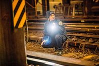 Lincoln Rhyme: Der Knochenjäger – Lincoln Rhyme: Der Knochenjäger (2020)