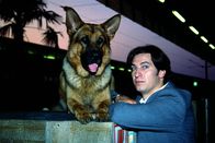 Kommissar Rex – Kommissar Moser (Tobias Moretti) und Rex observieren am Südbahnhof einen mutmaßlichen Mörder ...