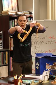 The Big Bang Theory – Sheldon (Jim Parsons) wird von seinen Freunden mit einem Streich zu Halloween reingelegt. Nun versucht er, sich an ihnen zu rächen. Doch so richtig will bei ihm keiner der Halloween-Streiche klappen, denn seine Freunde sind vorbereitet ...