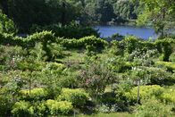 Gartenzeit – Rosengarten am Havelufer