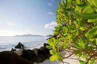 Stadt Land Kunst – Die Seychellen sind das perfekte Urlaubsparadies. Doch neben dem Tourismus hat der Archipel im Indischen Ozean noch eine weitere, wichtige Ressource: den Thunfisch.