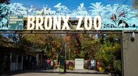 Bronx Zoo - Tierpark der Superlative – Mo, 24.10., 07:05 Uhr