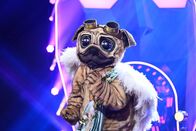 The Masked Singer – The Masked Singer (2021)