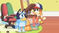 Bluey – L-R: Blucy, Bingo
