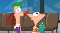 Phineas und Ferb – FERB, PHINEAS, PERRY THE PLATYPUS